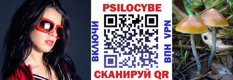 Псилоцибиновые грибы Magic Shrooms  MEGA   Торопец  закладки 